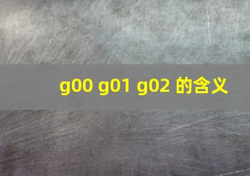 g00 g01 g02 的含义